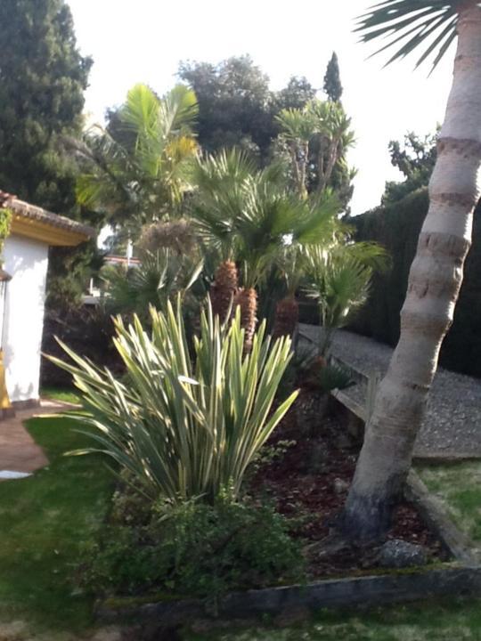 Apartament Casa Las Ciguenas Vejer de la Frontera Zewnętrze zdjęcie