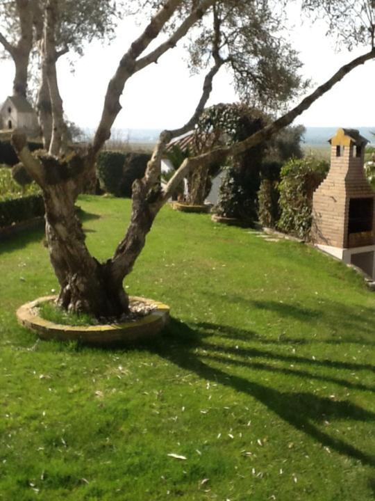 Apartament Casa Las Ciguenas Vejer de la Frontera Zewnętrze zdjęcie